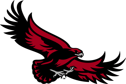 St. Joseph's Hawks 2001-Pres Alternate Logo v4 diy DTF decal sticker